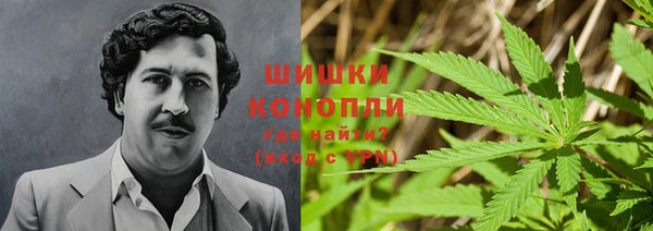 прущая мука Абаза