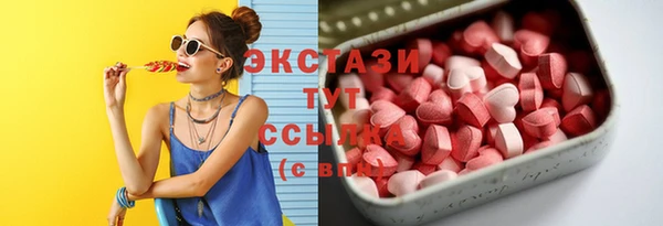 мдпв Новозыбков