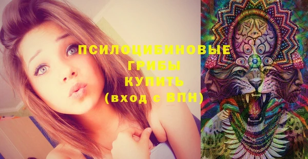 ГАЛЛЮЦИНОГЕННЫЕ ГРИБЫ Абдулино