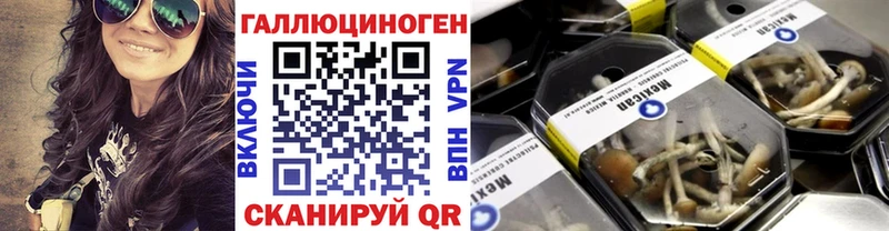 купить наркотик  Краснозаводск  Галлюциногенные грибы GOLDEN TEACHER 